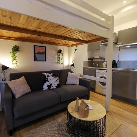 アヌシーLe Petit Plus - Studio Confortable Avec Parkingアパートメント エクステリア 写真