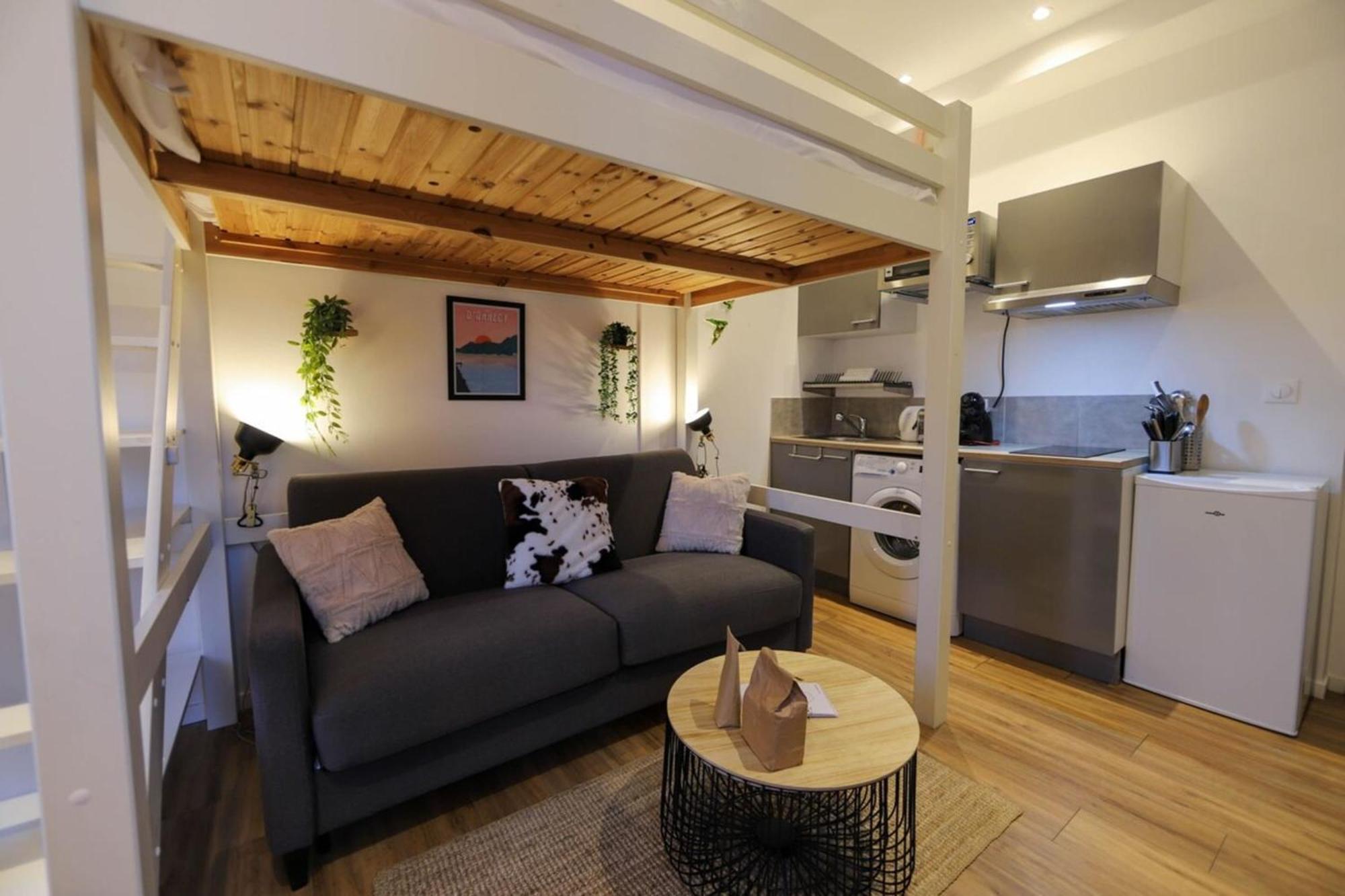 アヌシーLe Petit Plus - Studio Confortable Avec Parkingアパートメント エクステリア 写真