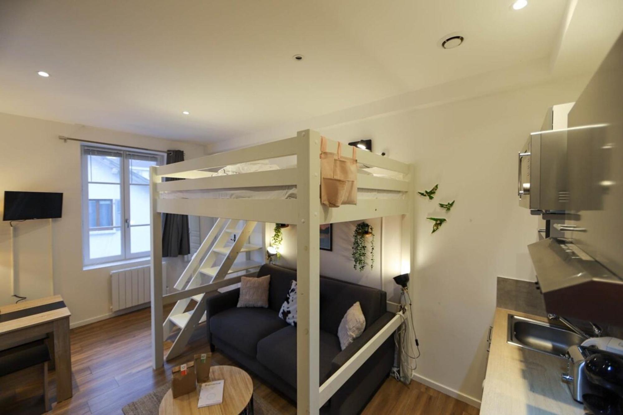 アヌシーLe Petit Plus - Studio Confortable Avec Parkingアパートメント エクステリア 写真