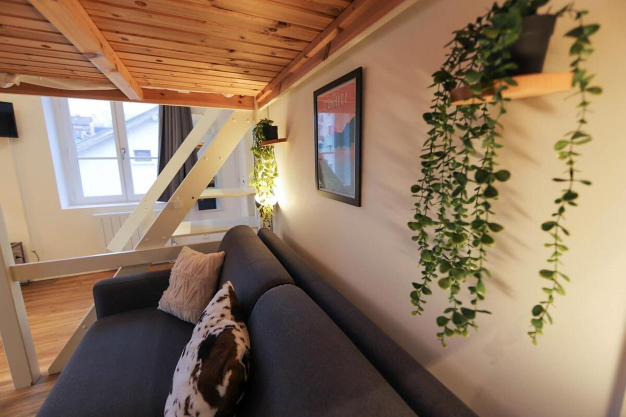 アヌシーLe Petit Plus - Studio Confortable Avec Parkingアパートメント エクステリア 写真
