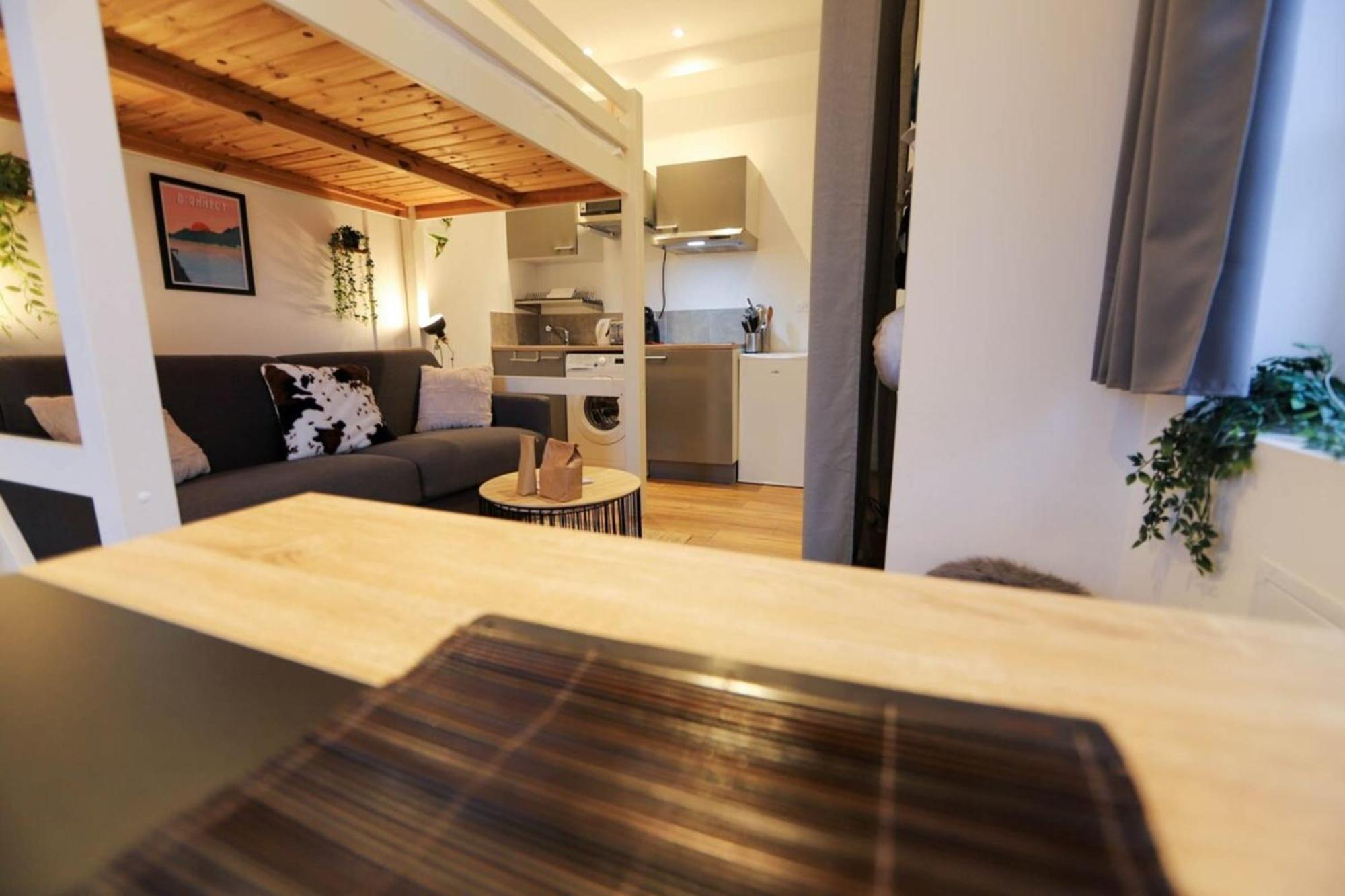 アヌシーLe Petit Plus - Studio Confortable Avec Parkingアパートメント エクステリア 写真