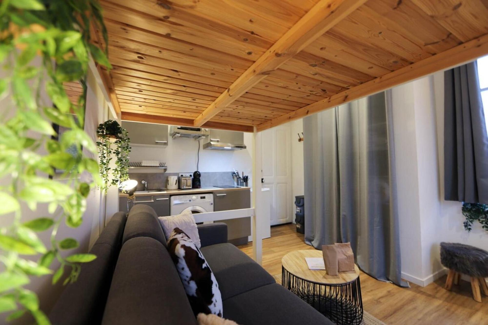 アヌシーLe Petit Plus - Studio Confortable Avec Parkingアパートメント エクステリア 写真