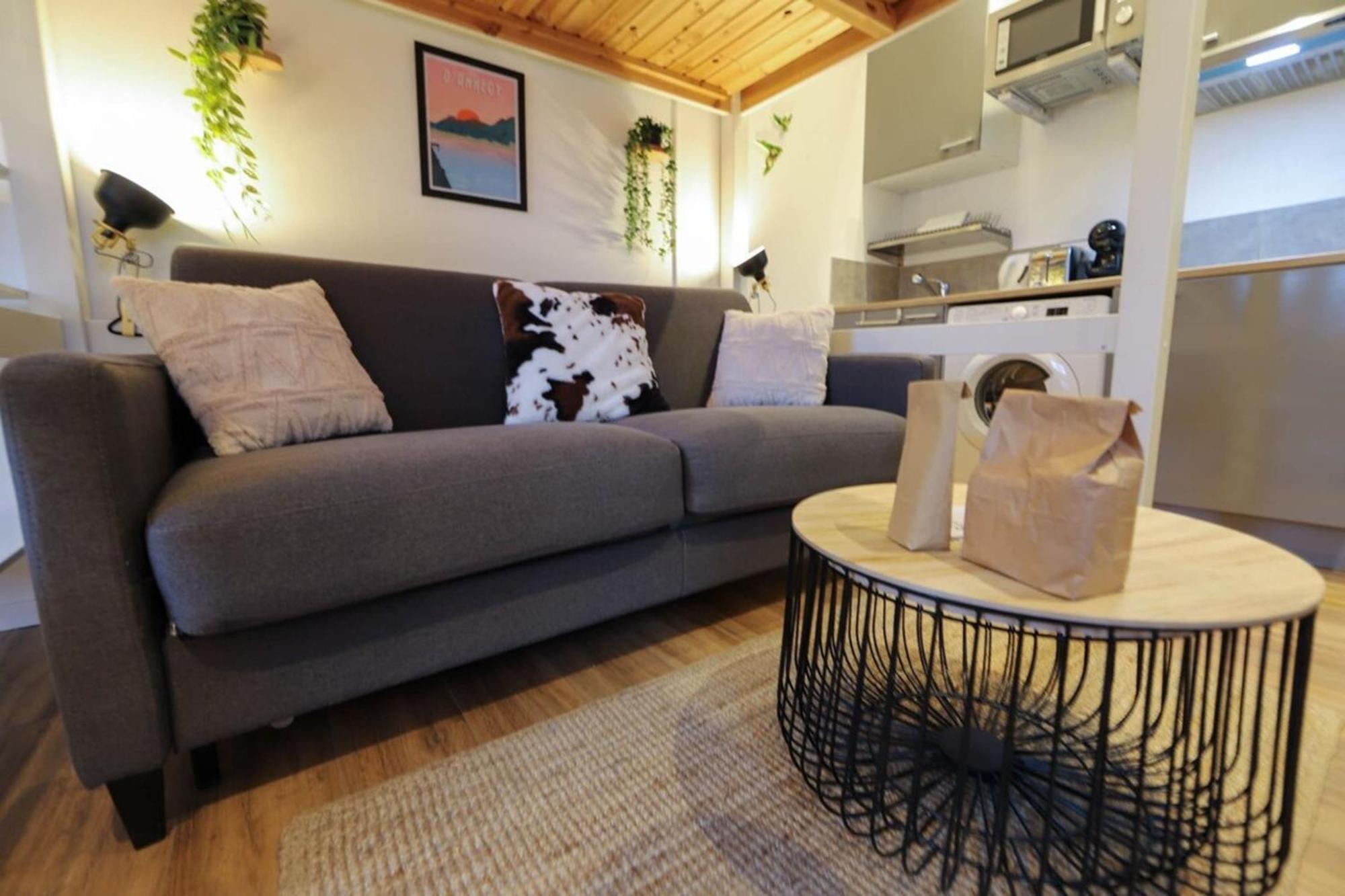 アヌシーLe Petit Plus - Studio Confortable Avec Parkingアパートメント エクステリア 写真